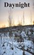 Daynight by Sharon Barrett