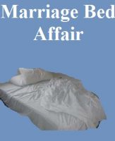 Cover for 'Marriage Bed Affair'