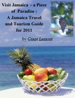 Cover for 'Diving Into Jamaica: A Jamaica Vacation and Tourism Guide for 2011'