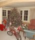 Christmas Dreaming by T. W. Brazeau