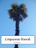 Coquina Hard by Lorain O'Neil