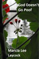 Cover for 'God Doesn't Go Poof'