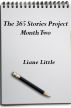 The 365 Stories Project Month Two by Liane Little