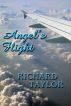Angel's Flight by Richard Taylor