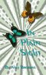 In Plain Sight by Amy Browne