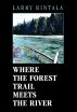 Where The Forest Trail Meets The River by Larry Rintala