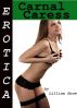 Erotica: Carnal Caress, Tales of Sex by Lillian Snow