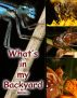 What's in My Backyard? by Mark Lucas