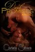 Dark Promises: A Novella by Christie Silvers