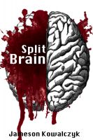 Cover for 'Split Brain'