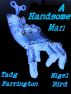 A Handsome Man by Nigel Bird
