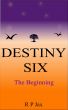 Destiny Six The Beginning by R P Jax