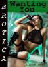 Erotica: Wanting You, Tales of Sex by Lillian Snow