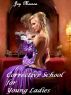 Corrective School for Young Ladies (Mild BDSM erotica) by Jay Merson