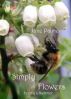 Simply Flowers, Spring and Summer by Jane Palmer