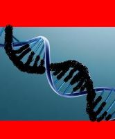 Cover for 'Genetic Defilement-An Abominable Reality'