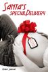 Santa's Special Delivery by Robert Lubrican